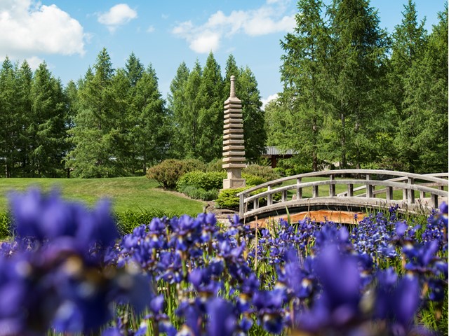 Kurimoto Japanese Garden at UA Botanic Garden