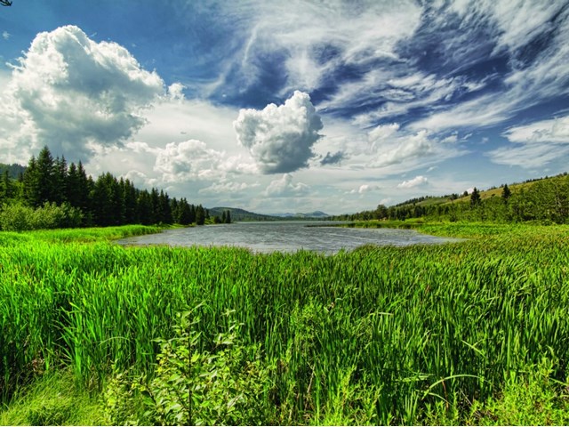 Alberta Parks