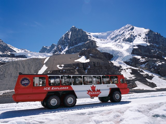 Glacier & Icecap Tours