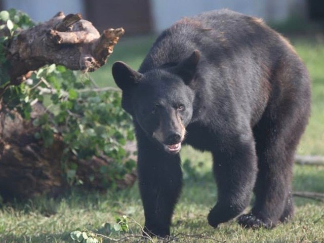 Discovery Wildlife Park