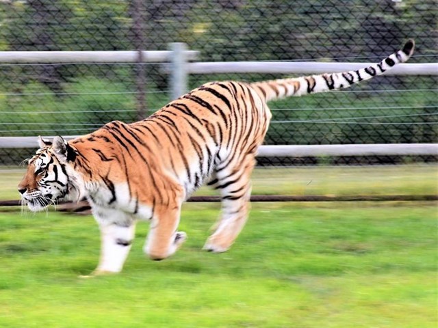 Discovery Wildlife Park