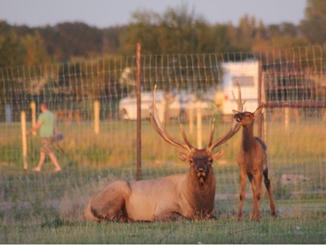 Discovery Wildlife Park