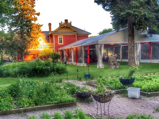 Backyard vegetable garden at Rouge Restaurant in the Inglewood neighbourhood