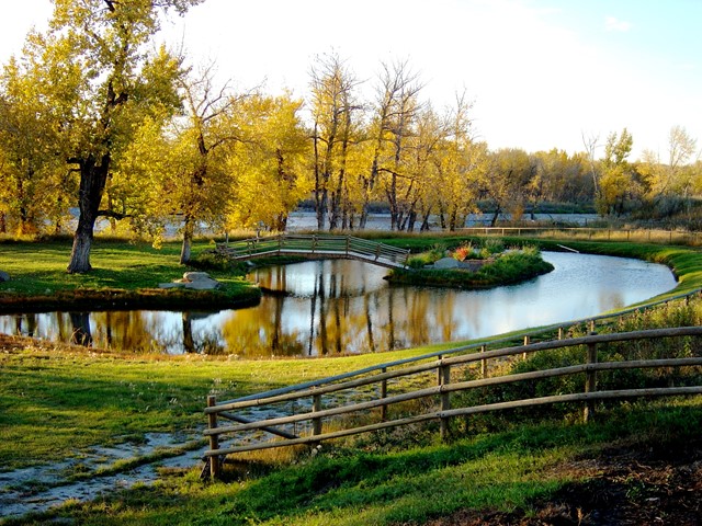 Ranch Green Space Pond