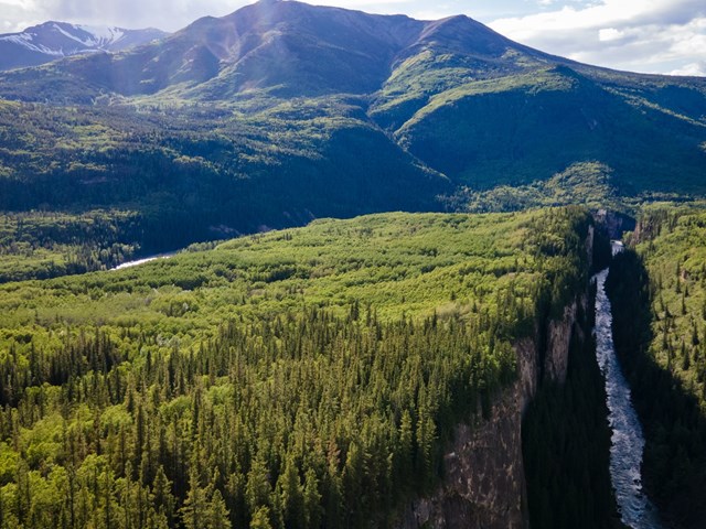 Wild Blue Yonder - Canyon Whitewater Rafting