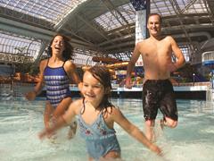 9 Reasons Why You Must Visit West Edmonton Mall From Penguins To Roller Coasters Alberta Canada