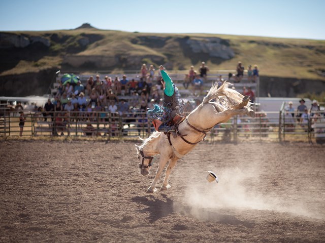20 Small Town Summer Rodeos In Alberta L 2 