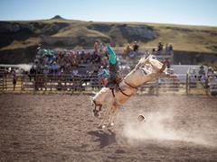 20 Small Town Summer Rodeos In Alberta S 2 