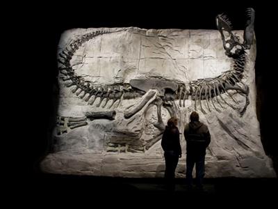 WHY ALBERTA'S DINOSAUR PROVINCIAL PARK IS THE WORLD'S RICHEST SITE FOR  FOSSIL HUNTERS | Alberta Canada