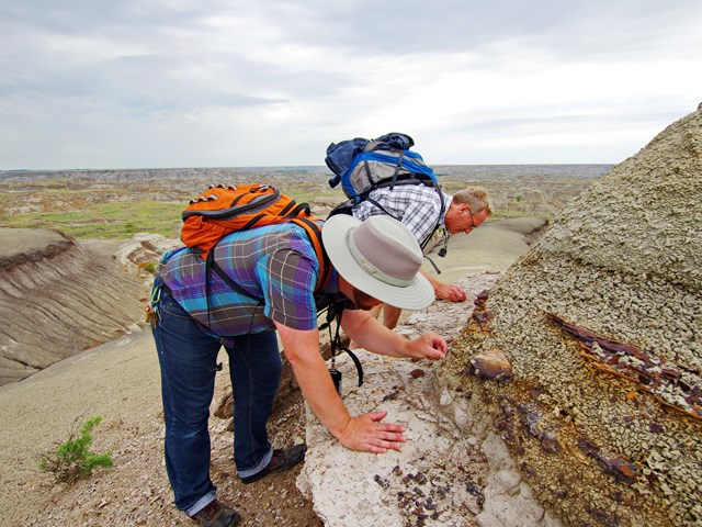WHY ALBERTA'S DINOSAUR PROVINCIAL PARK IS THE WORLD'S RICHEST SITE FOR  FOSSIL HUNTERS | Alberta Canada