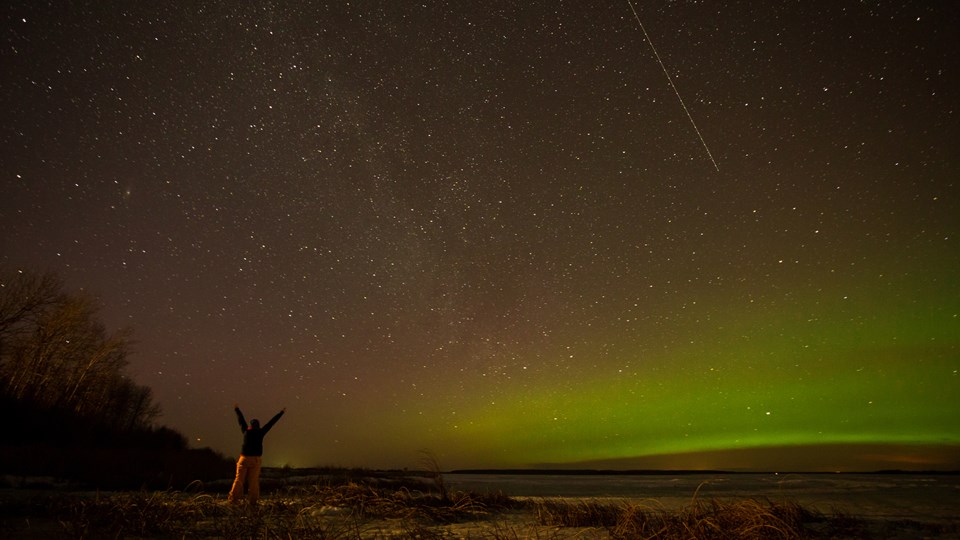 aurora watch red deer