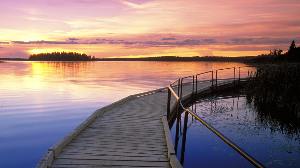 Elk Island National Park Alberta Canada