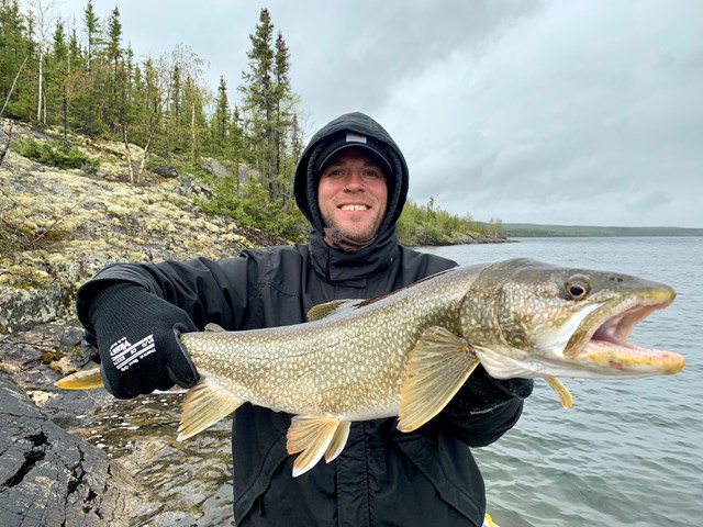 Lake trout