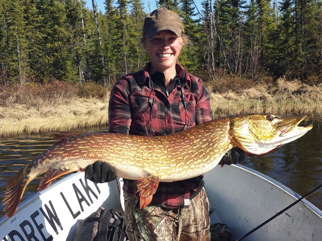 Northern Pike Action!