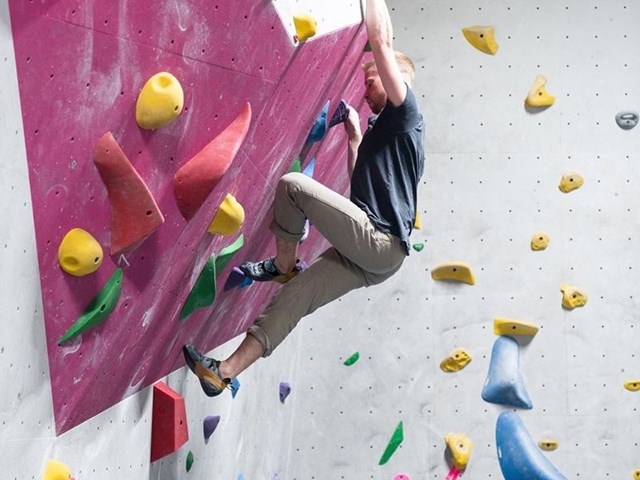 Rock jungle store boulders