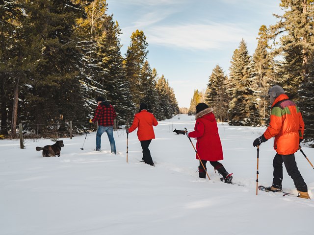 Snow shoe tour photo from Roam Creative