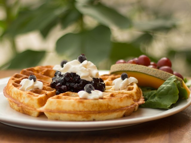 Dutch Waffle With Saskatoon Topping | ''