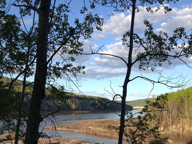 Views of the Peace River from the Campground