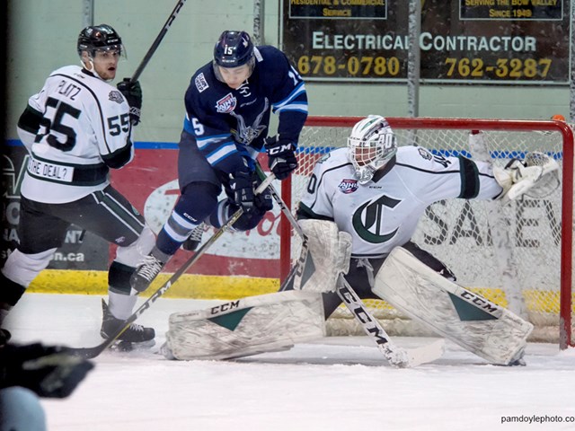 Canmore Eagles 2023 – Let Roam be your link to the rink