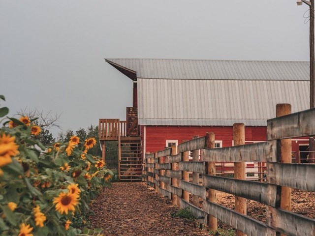 Old Red Barn