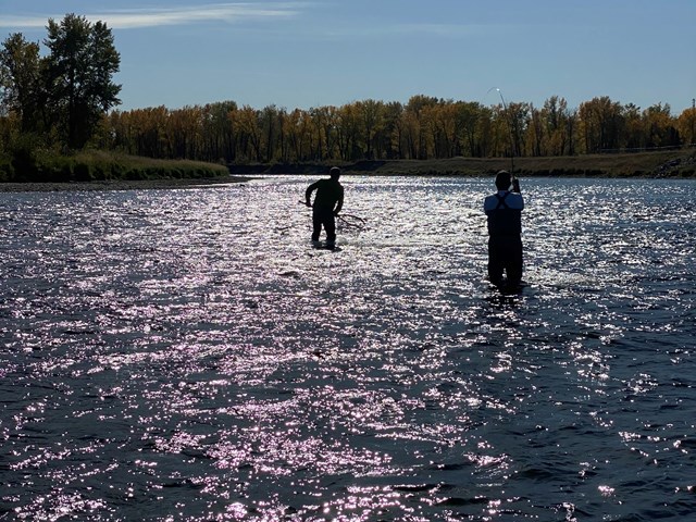 ᐅ Freeman River fishing reports🎣• Alberta, Canada fishing