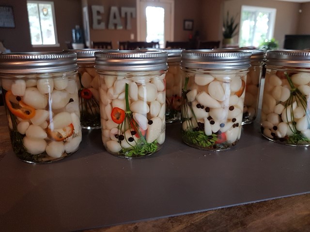 Pickled Garlic