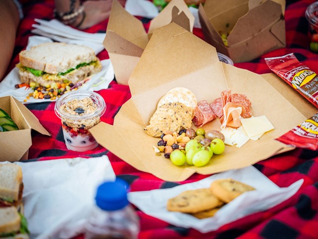 Picnic - Badlands Photography