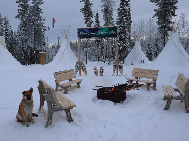 Fire pit area to stay warm while watching Aurora Borealis