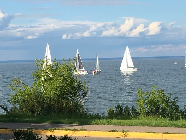 Watching the sailboats practice on Wednesday