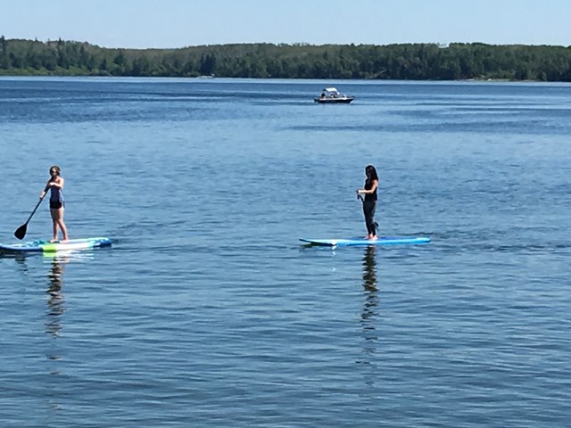 Paddle boarding out front of Waterfront Harbour B&B