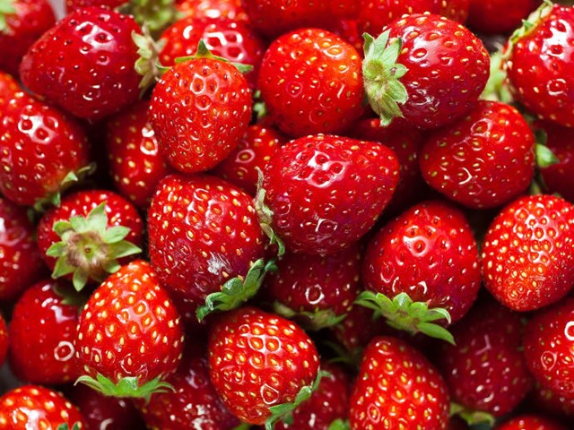 Lynn Rob Strawberries Market Garden