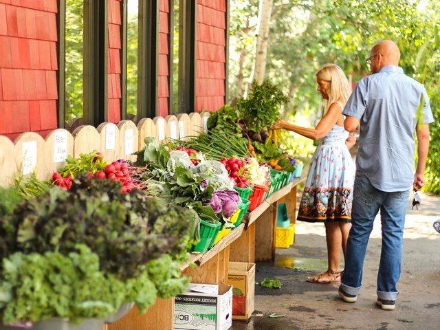 From their garden to your table