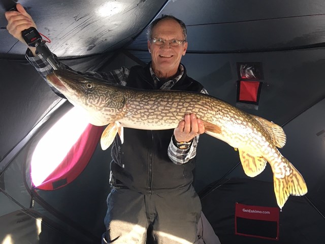 Trophy Northern Pike